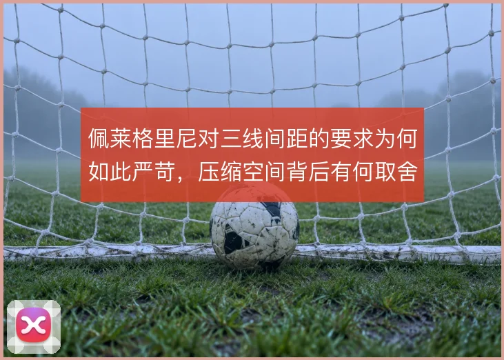 佩莱格里尼对三线间距的要求为何如此严苛,压缩空间背后有何取舍