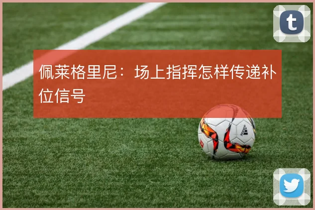 佩莱格里尼:场上指挥怎样传递补位信号
